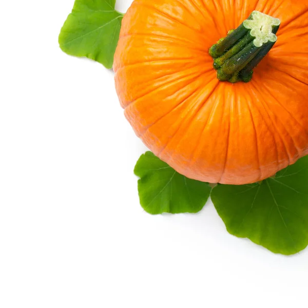 Calabaza Fresca Con Hojas Verdes Aisladas Sobre Fondo Blanco Vista —  Fotos de Stock