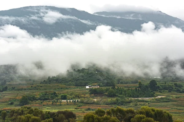 Vista Del Paisaje Campo Shangri Yunnan China — Foto de Stock