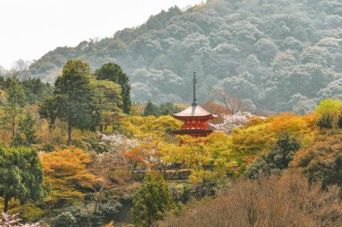 Manzaralı Kiyomizu-dera Tapınağı: Kyoto, Japan.