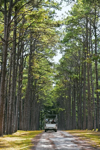 Chiang Mai Thajsko Listopad Neurčené Zahrádkáře Sedí Vyzvednutí Pine Parku — Stock fotografie