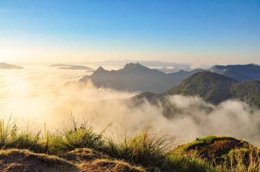 Sis ve dağlarda erken sabah, Chiang Rai, Tayland.