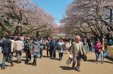 Kimliği belirsiz turist Ueno Parkı'nda yürüyüş