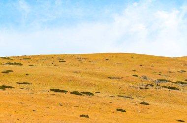 Sonbahar Daocheng adlı peyzaj görünümünde