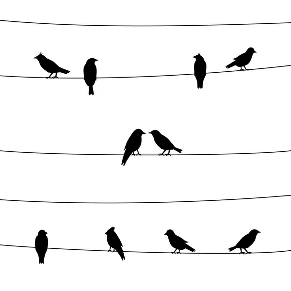 ワイヤ上の鳥のシルエット — ストックベクタ