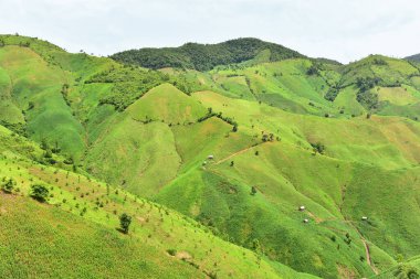 Chaloem Phra Kiat bölgesindeki dağların manzarası, Nan, Tayland.