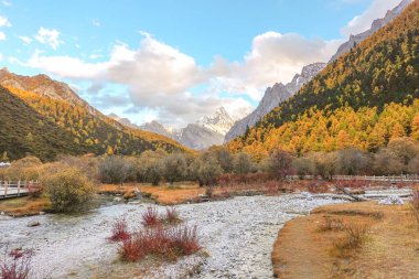 Yading Ulusal Rezervi 'nde sonbaharda manzara manzarası, Daocheng Bölgesi, Sichuan Bölgesi, Çin.