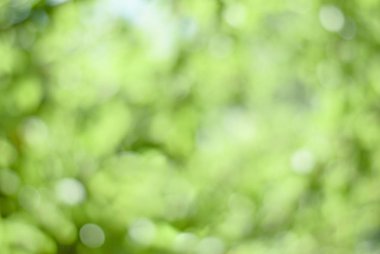 Yumuşak bokhe yaz arka plan 