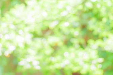 Yumuşak bokhe yaz arka plan 