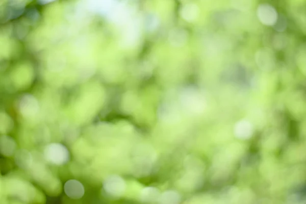 Yumuşak bokhe yaz arka plan 