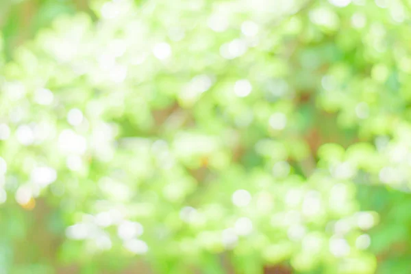 Yumuşak bokhe yaz arka plan 