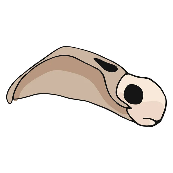 Flamingo Cráneo Dibujos Animados Vector Ilustración Conjunto Motivos Elementos Óseos — Vector de stock