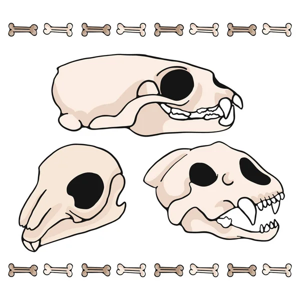 Säugetier Schädel Cartoon Vektor Illustration Motivset Handgezeichnete Isolierte Tiger Nerz — Stockvektor