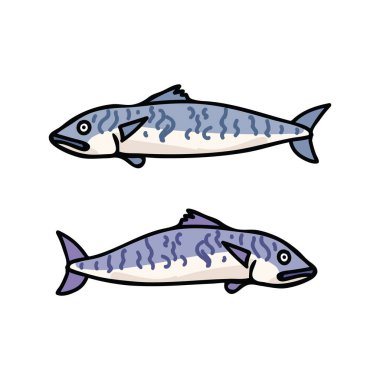 Şirin uskumru balık karikatür vektör çizim motifi set.