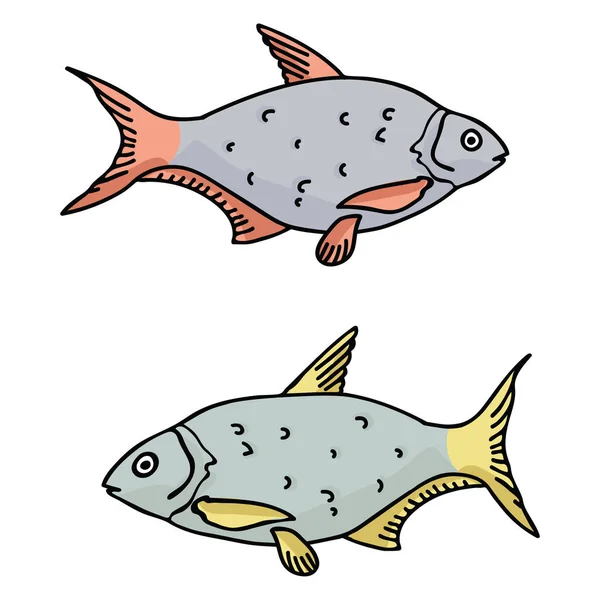 Realistische Rotaugen Cartoon Vektor Illustration Motivset. handgezeichnete Ziegenfische — Stockvektor