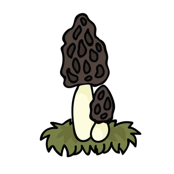 Niedlichen Morchel Cartoon Vektor Illustration Motivset. handgezeichnete essbare Pilze — Stockvektor