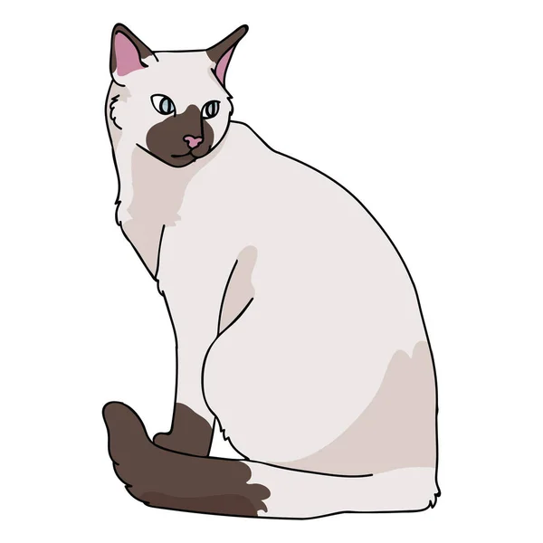 ●かわいいシャム猫漫画ベクトルイラストモチーフセット。孤立した手描き — ストックベクタ