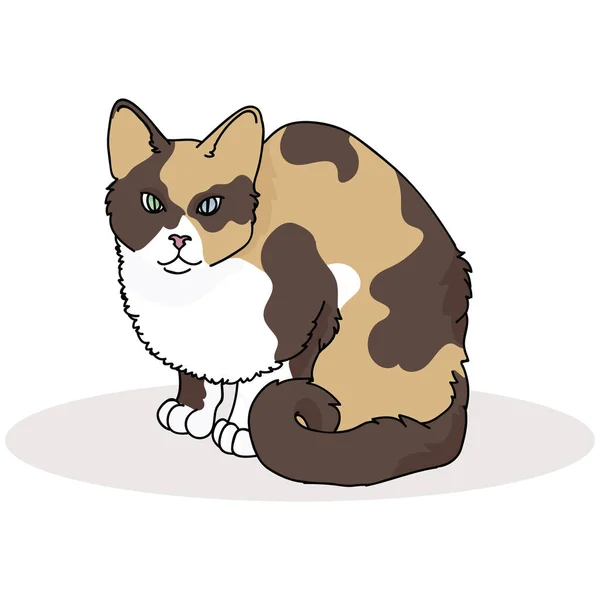 ●可愛いカリコ猫漫画ベクトルイラストモチーフセット。動物ブログ用の手描きの孤立したペット要素クリップアート — ストックベクタ