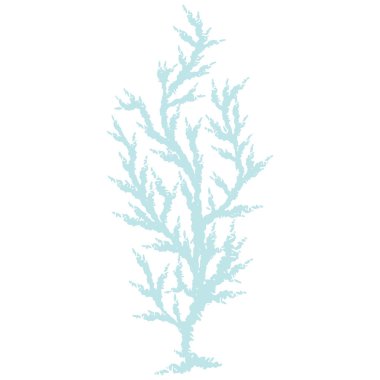 Sevimli açık mavi yosun yosun karikatür vektör illüstrasyon motifseti. Deniz otomu blogu için el çizilmiş izole mercan resifi elemanları clipart, bitki grafik.