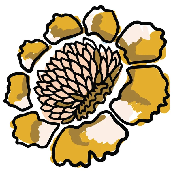 Obrázek z kresleného vektorového obrázku žlutého kvetu. Ruční vytažené izolované elementy jarního květu pro zahradování blogů, grafika. — Stockový vektor