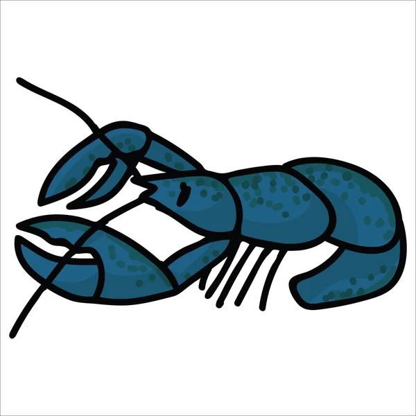 Motif ilustrasi vektor lobster segar yang lucu. Tangan digambar terisolasi crustacean elemen clipart untuk kehidupan laut blog, mencakar hewan grafis, udang tombol web . - Stok Vektor
