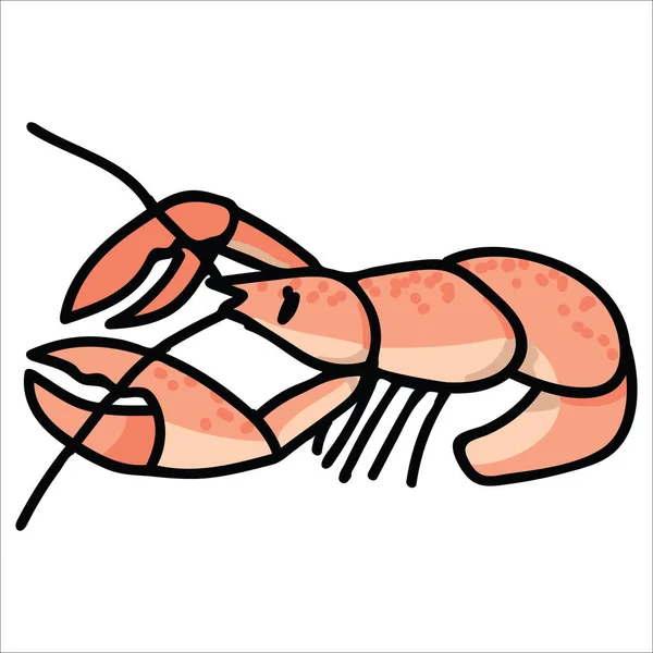 Motif gambar vektor kartun lobster yang dimasak yang lucu. Tangan digambar terisolasi crustacean elemen clipart untuk kehidupan laut blog, mencakar hewan grafis, udang tombol web . - Stok Vektor