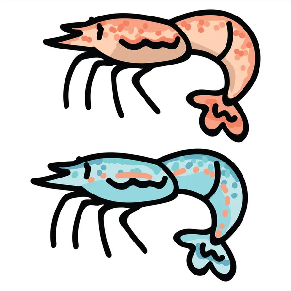 Motif gambar vektor kartun udang segar dan masak yang lucu. Tangan digambar terisolasi elemen krustasea clipart untuk kehidupan laut blog, udang grafik, udang tombol web - Stok Vektor