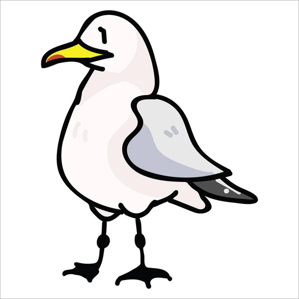 Gaivota bonito do desenho animado frontal conjunto motivo ilustração vetor. Clipart de elementos de vida selvagem à beira-mar isolado desenhado à mão para blog de observação de aves náuticas, gráfico de pássaros, botões de teia de penas . —  Vetores de Stock