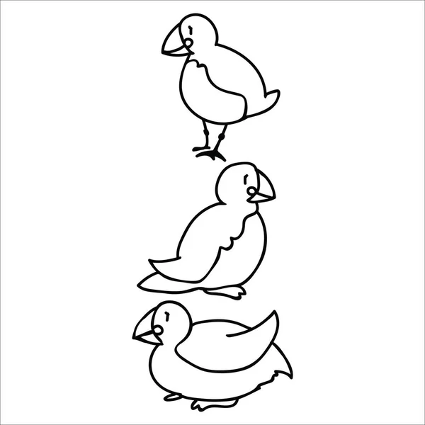 Lindo grupo de frailecillos monocromo lineal ilustración vector de dibujos animados conjunto de motivos. Elementos marinos aislados dibujados a mano clipart para observación de aves náuticas blog, gráfico de aves, botones web de plumas . — Vector de stock