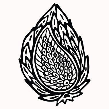 Paisley doğa halk sanatı grafik tasarım elemanı. El çizilmiş nordic linocut blok baskı motifi. Siyah folklorik küçük resim resim kesme. Bohem hint tarzı. İskandinav yaprağı dövmesi. Çizgi sanatı anahat gelişmeye