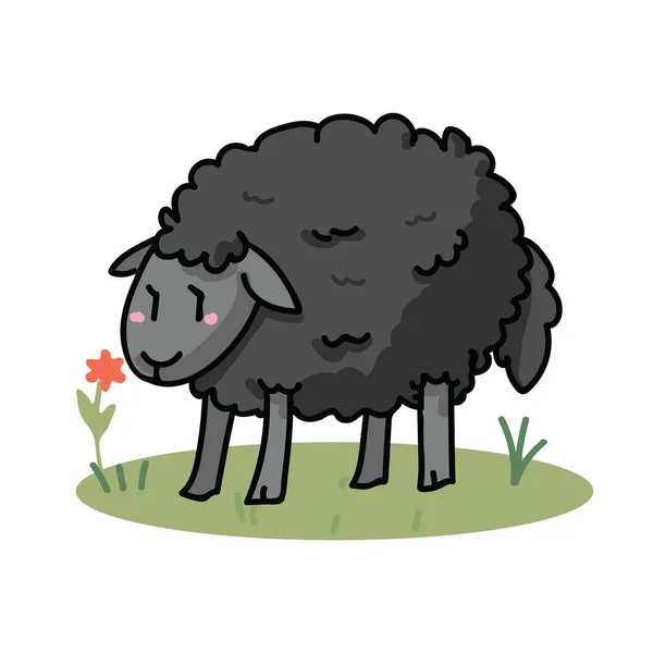 Linda oveja negra en un campo de dibujos animados vector ilustración motivo conjunto. Dibujado a mano agricultura aislada elementos ganaderos clipart para el blog de agricultura, gráfico lanudo, botones web de cordero . — Archivo Imágenes Vectoriales