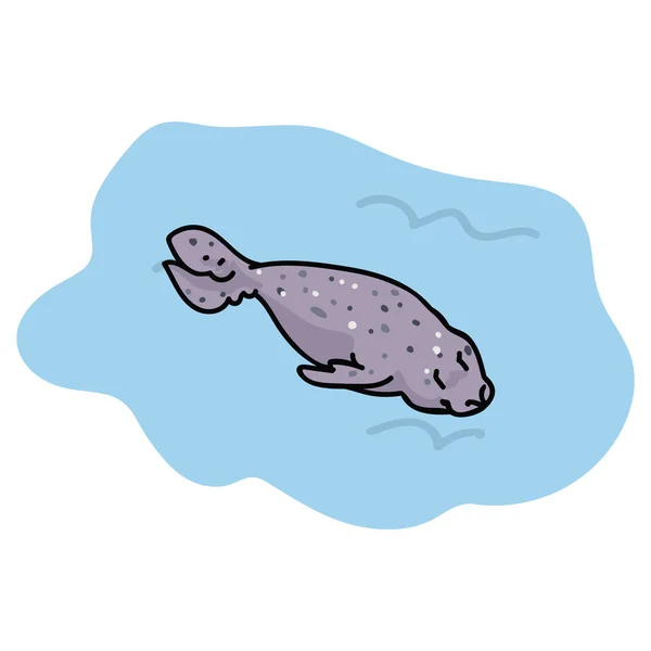 Linda Foca Nadando Mar Clipart Mamíferos Oceánicos — Vector de stock