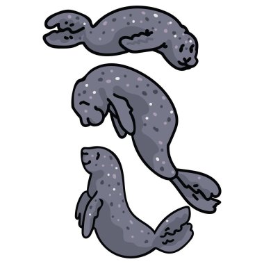 Koyu gri foksevimli bir grup. Deniz memeli deniz yaşamı clipart. 