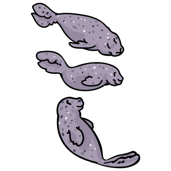 Söt Grupp Ljusgrå Tätningar Ocean Däggdjur Sea Life Clipart — Stock vektor