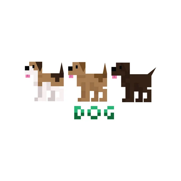 Carino 8bit cane da compagnia razze vettoriale illustrazione. Spaniel cucciolo pixel art . — Vettoriale Stock