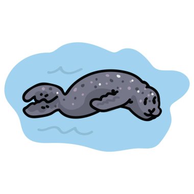 Fok okyanus clipart yüzme. Elle çizilmiş deniz yaşamı. 