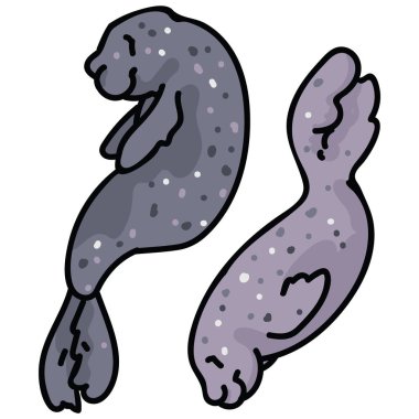 Sevimli kutup fok clipart. El çizilmiş deniz memelisi karikatür. 