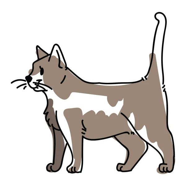 Lose Lineart Pet Cat Illustration Handgezeichnete Skizzenhafte Kitty Rasse Kinder — Stockvektor