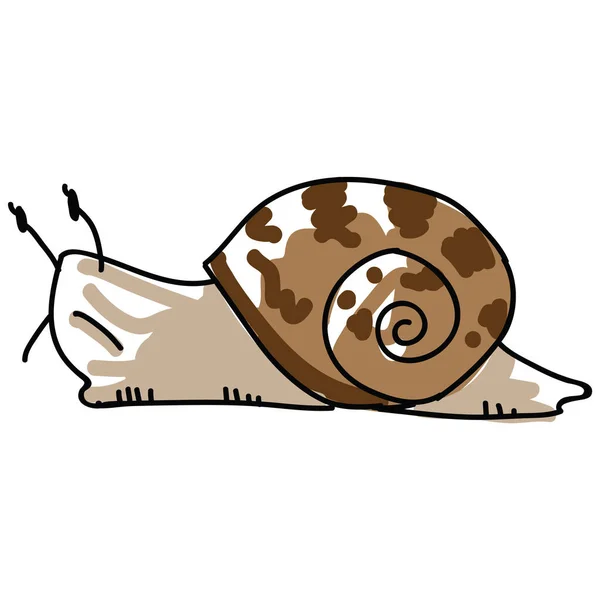 圆滑的花园蜗牛矢量图解 自由自在地画着院子里的野生软体动物 星盘壳孩子气涂鸦 — 图库矢量图片