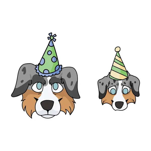Cute cartoon australian shepherd dog and puppy face with party hat vector clipart. Pedigree kennel doggie for dog lovers. Purebred domestic for celebration illustration mascot. Isolated canine hunting — Stock Vector