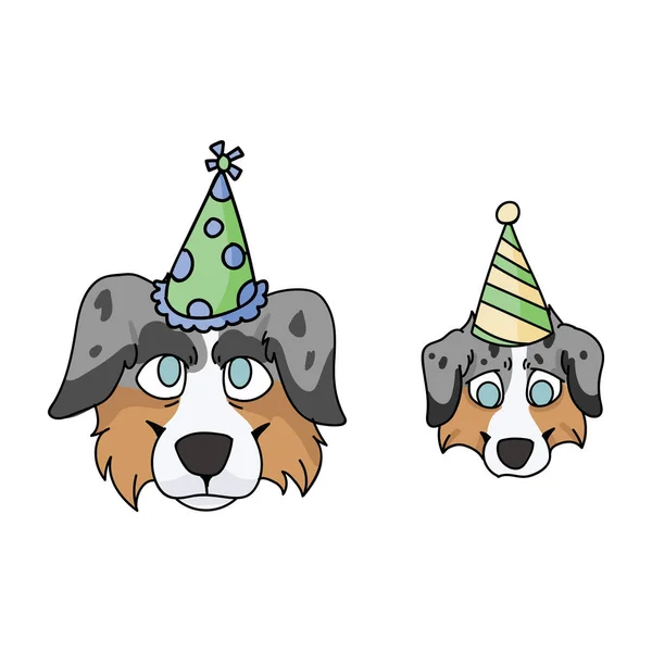 Mignon dessin animé australien chien de berger et visage de chiot avec chapeau de fête clipart vecteur. Chien de chenil généalogique pour les amateurs de chiens. Mascotte domestique pure pour illustration de célébration. Chasse canine isolée — Image vectorielle