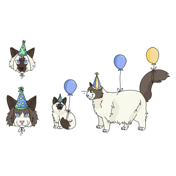 Χαριτωμένο καρτούν ragdoll κόμμα γάτα που διάνυσμα κλιπ. Γενεαλογικό γατάκι φυλή για τους λάτρεις της γάτας. Γιορτή για κατοικίδιο ζώο σαλόνι εικονογράφηση μασκότ. Απομονωμένο αιλουροειδές. EPS 10. — Διανυσματικό Αρχείο