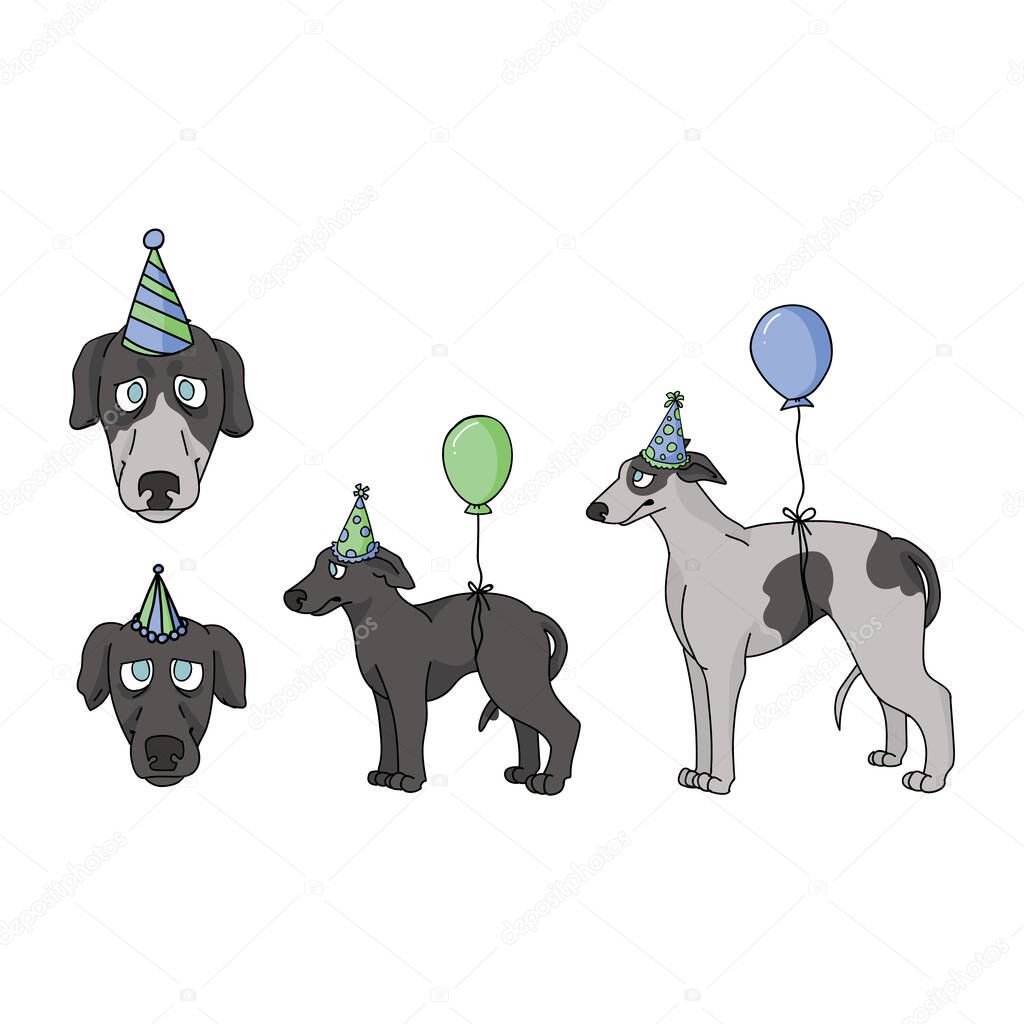 Cute cartoon greyhound dog party set vector clipart. Pedigree kennel racing hound for dog lovers. Purebred domestic pooch for celebration illustration. Isolated fast canine puppy. EPS 10. 