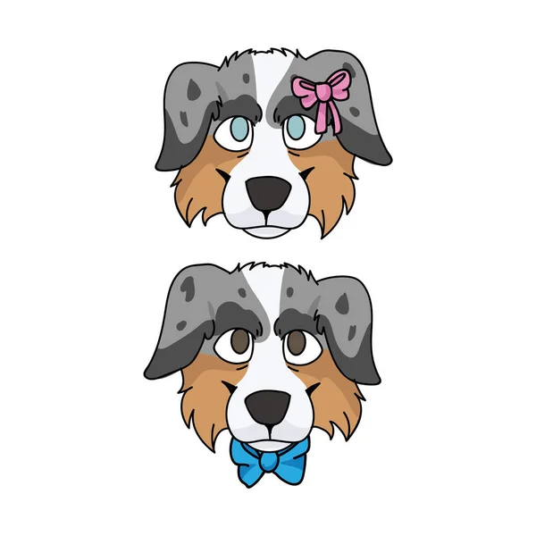 Mignon dessin animé australien berger chien visage garçon et fille vecteur clipart. Chien de chenil généalogique race. Mascotte domestique pure pour salon d'animaux de compagnie illustration. Canine isolée chasse anglaise . — Image vectorielle