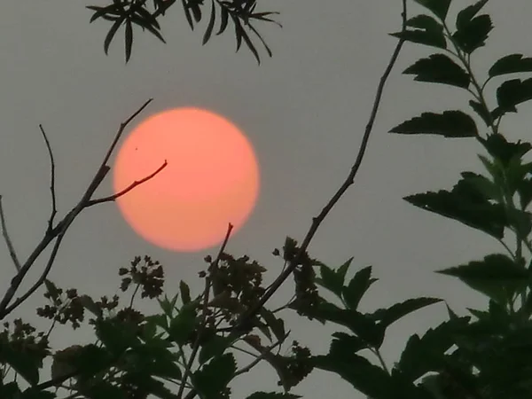 Ese Año Fue Duro Debido Los Incendios Así Fue Sol — Foto de Stock