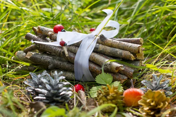 Forest fairy tale, Mushroom bumps and forest firewood. Forest beauty.