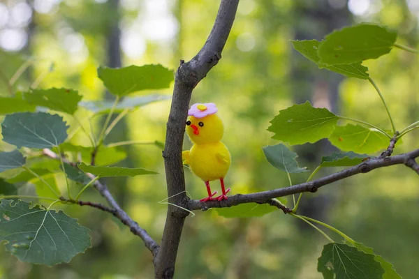 Yellow chicken in a green nest on a tree.