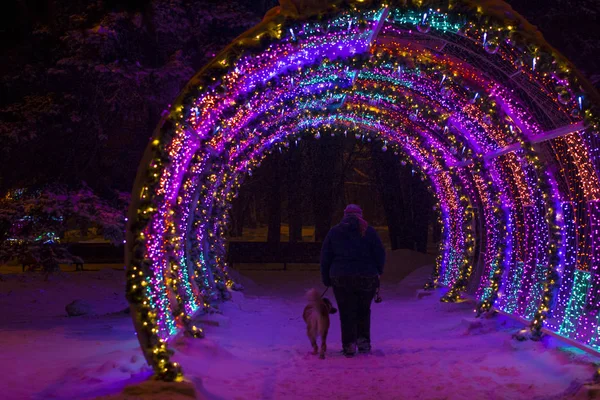 Outdoor holiday light tunnel. Tunnel with colored light bulbs. Winter evening.