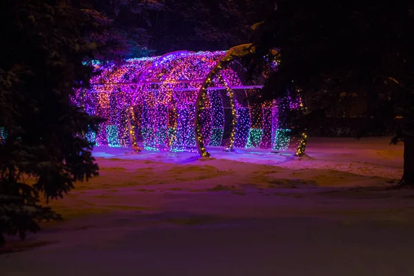 Outdoor holiday light tunnel. Tunnel with colored light bulbs. Winter evening.