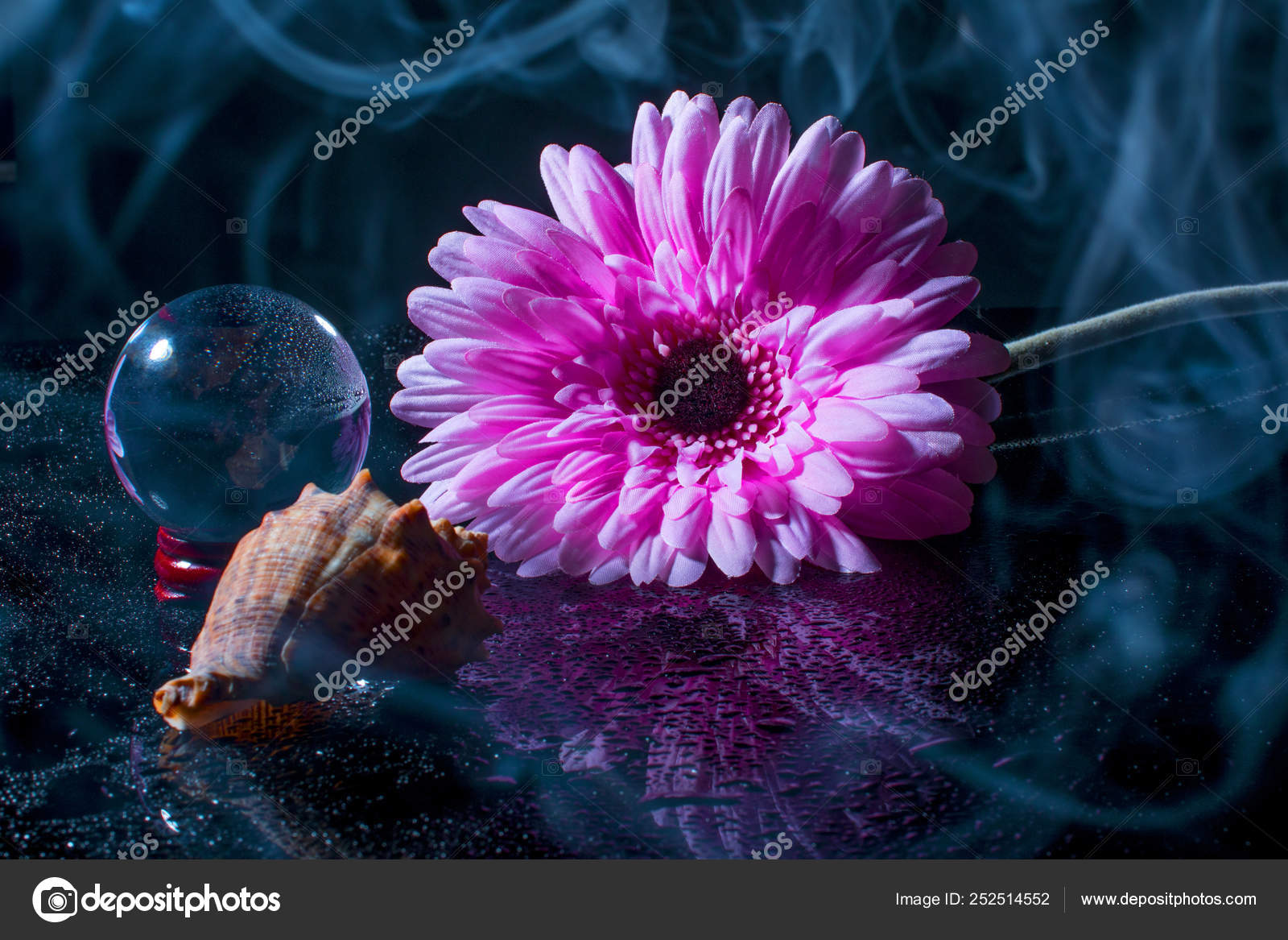 Gotas de agua en la flor fotos de stock, imágenes de Gotas de agua en la  flor sin royalties | Depositphotos