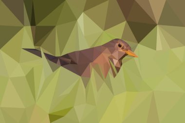 Yırtıcı bir yeşil çim çayır çekici bir juvenil kadın ortak karatavuk (Turdus merula). Poligonal sanat tarzı, yeşil çim detaylı kahverengi kuş kadın kara kuş. Dijital illüstrasyon, vektör.